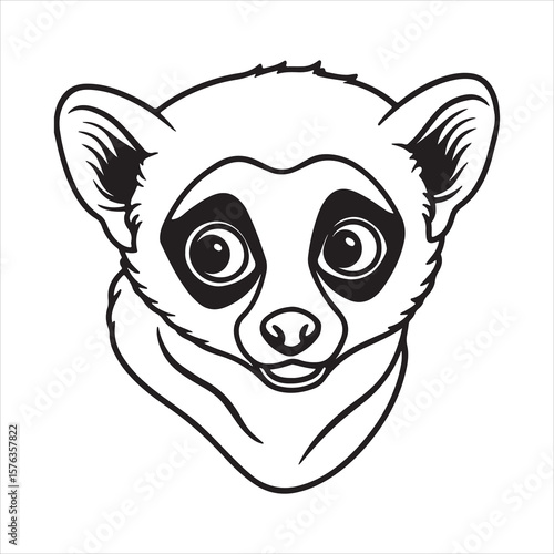 Jungle Ghost: The Elusive Life of the Slow Loris