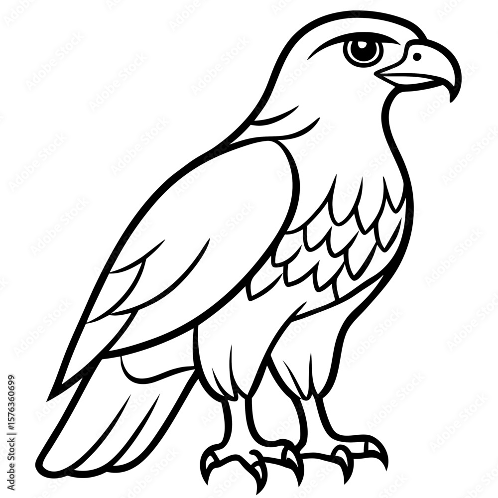 Fototapeta premium eagle vector illustration