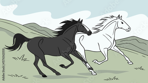 Black and white horses running free in a field drawing vector illustration equine animals design art