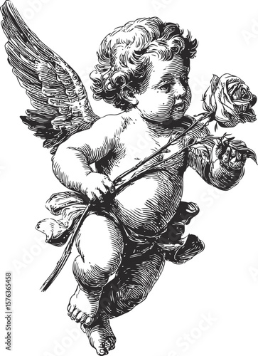 Angel holding a rose, black and white sketch of cherub with detailed wings. Vector illustration