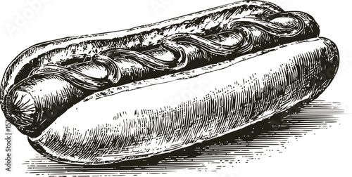 Black and white illustration of a hot dog with mustard in sketch style. Vector illustration