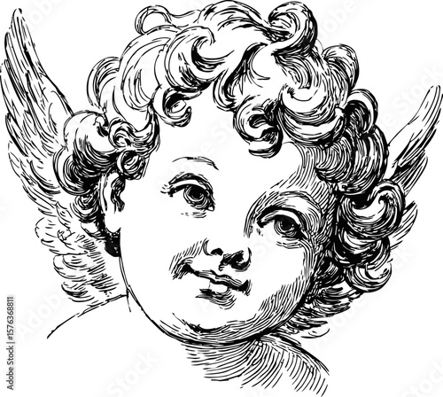 Cherubic face with curly hair and wings in detailed ink drawing. Vector illustration in sketch style