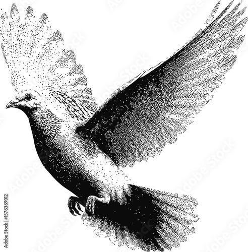 Intricate black and white illustration of a bird mid-flight with raised wings. Vector illustration
