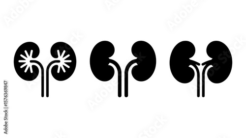 Vector art of a set of three kidney illustrations, each with a unique design, isolated on a white background