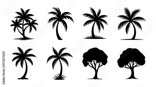 Vector art of collection of black palm tree silhouettes and other trees on a white background