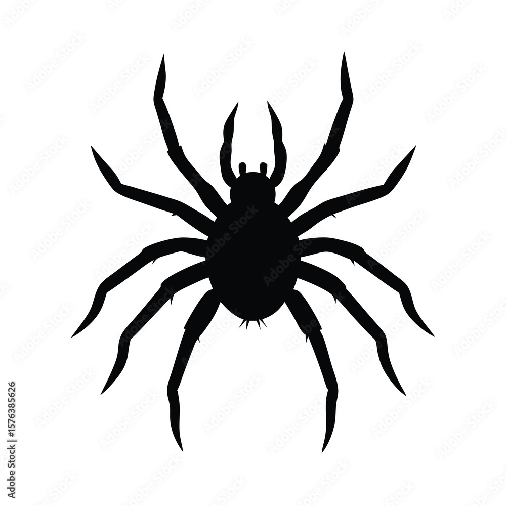 Obraz premium spider on a white background