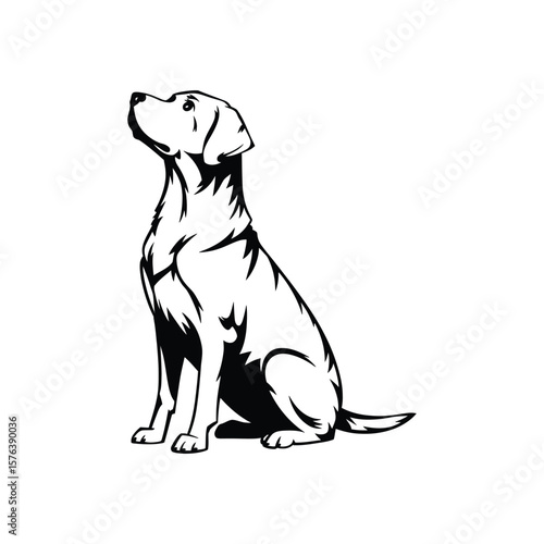 Silhouette vector of sitting Labrador dog looking up isolated on white background