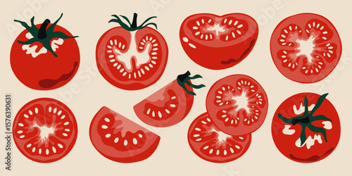 Red tomato set. Ripe tomatoes whole and sliced sections with seeds, cartoon fresh farm garden vegetables, organic vegetarian food product. Vector isolated collection
