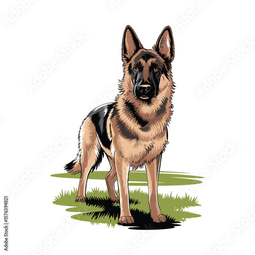 Silhouette vector of alert German Shepherd dog standing on grassy field with perked ears and tense posture on white background