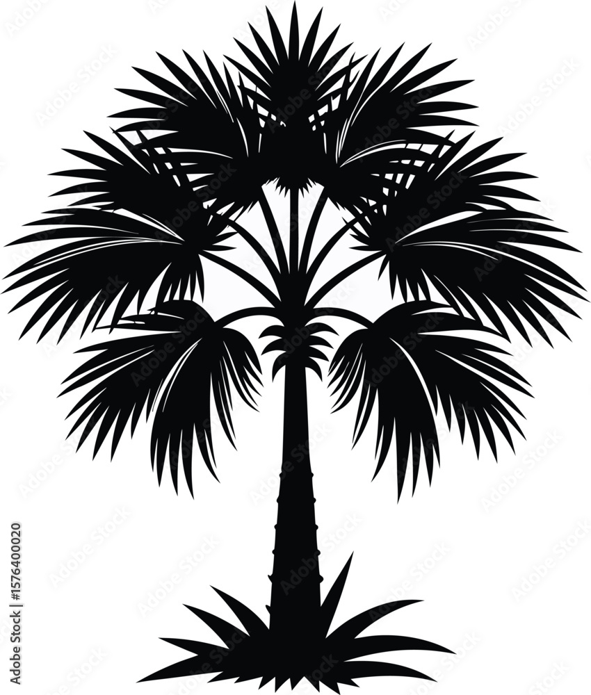 Fototapeta premium Black silhouette of a palm tree with a textured trunk and fan-shaped leaves white background