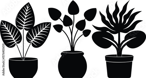 Black silhouette potted plants with detailed leaves houseplants foliage