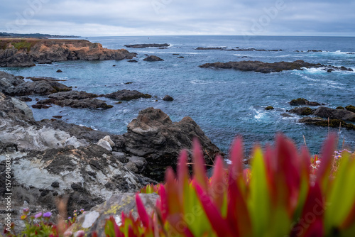 Rocky Headlands and Ice Plant Overlook – Fort Bragg, California