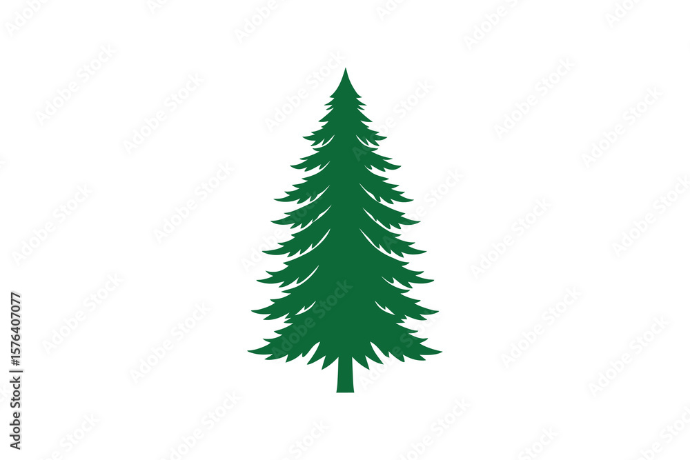 Obraz premium Evergreen Tree Illustration with Detailed Branches and Needles Isolated on White Background Featuring a Clean Silhouette Style for Versatile Design Applications silhouette