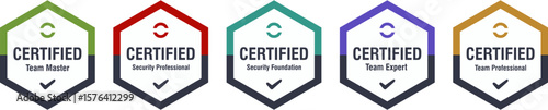Vector design template of computer security certifications. Training badge logos for IT certificate companies, secure access, cyber protection, and compliance by security criteria.