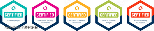 Set of computer security certification organization badges. Colorful hexagon vector icons for secure access, network protection, data privacy, and cybersecurity accreditation logos.