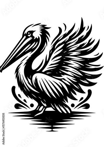 A pelican with detailed wings is isolated on white background