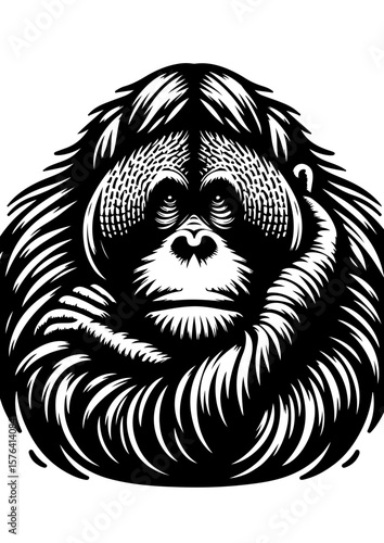 A black and white illustration of an orangutan isolated on white background