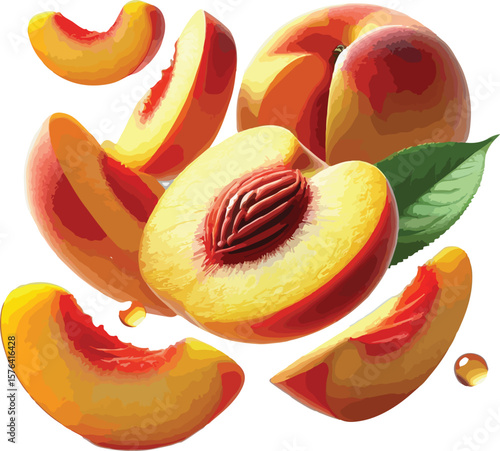 Vibrant illustration of ripe peaches showing slices and halves on a white background