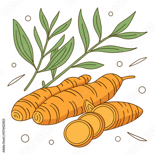 fresh carrots on a white background