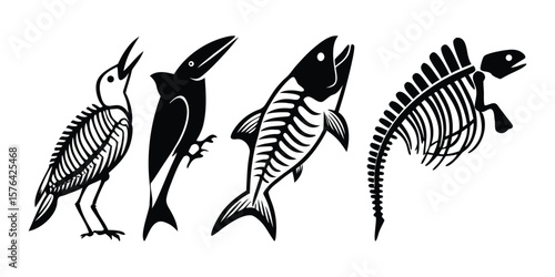 Vector Illustrations of Animal Skeletons