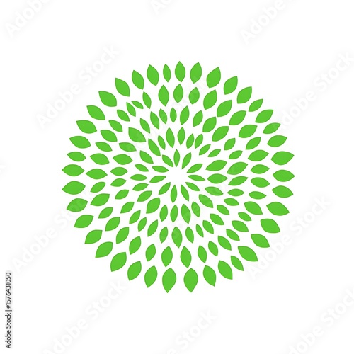 Green Petals Exploding Outward Forming a Circular Floral Burst Pattern with a Bright Background