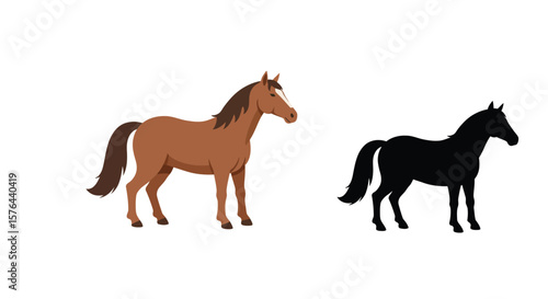 Illustration of a brown horse and a black horse on a white background