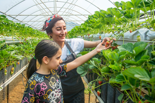 Young entrepreneur farmer woman shows strawberries to primary school girl in strawberry greenhouse