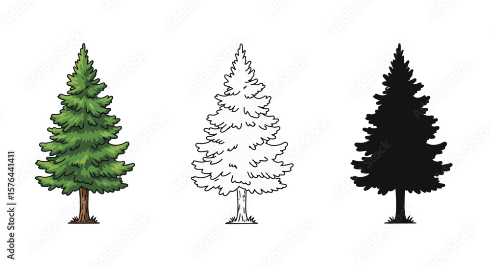 Obraz premium Three Pine Tree Illustrations Colored Outline and Silhouette on a White Background