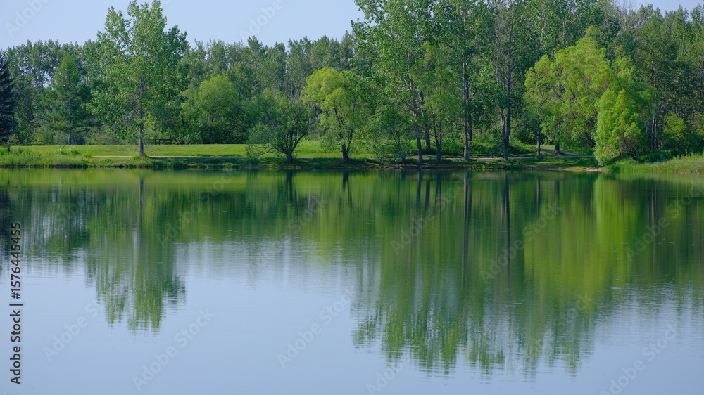 Obraz premium lake in the forest, nature, wildlife, reflection, park, outdoors