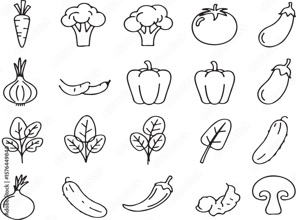 Fototapeta premium Thin Line Vegetable Vector Set - Broccoli, Potato, Onion & 12 More (EPS)