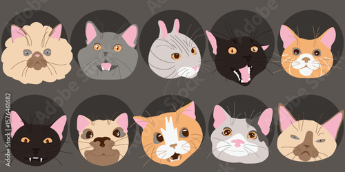  Isolated flat vector illustration of cat muzzles. A set of funny emotional cats