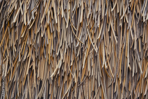 Canvastavla Here is a closeup photograph showing a thatched roof made entirely of straw