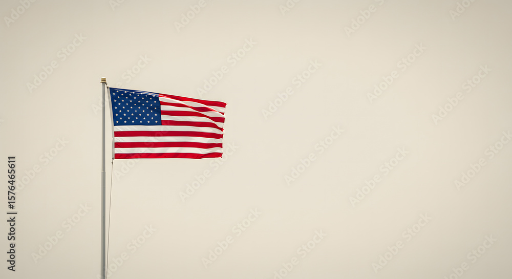 Fototapeta premium USA Independence Day Fireworks: Grand Public Displays
