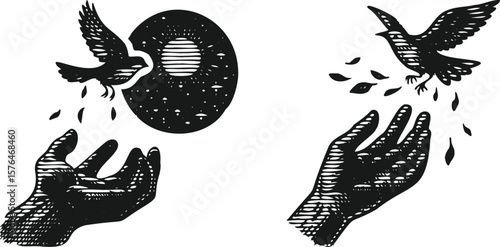  Monochrome lined engraving vector bundle of a symbolic scene showing a hand releasing a bird into the sky, vintage style concept of freedom, hope, liberation, flight, and gesture art