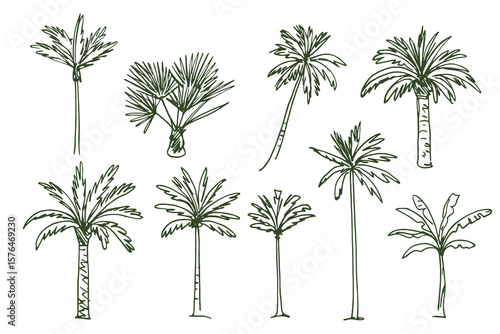 Palm tree set, loose ink sketch style, vector illustration