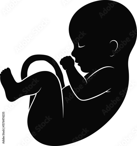 Silhouette of human fetus in womb, unborn baby vector illustration, pregnancy development, prenatal life, black and white medical icon