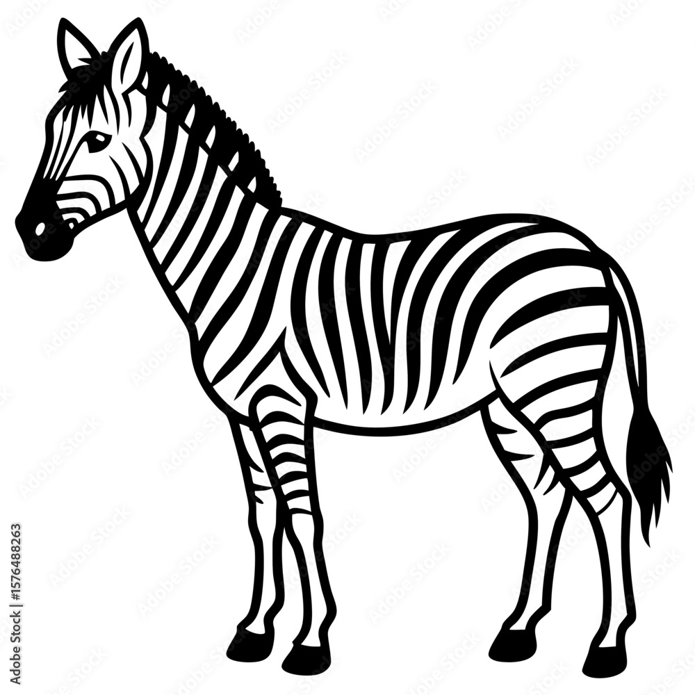 Obraz premium zebra vector illustration