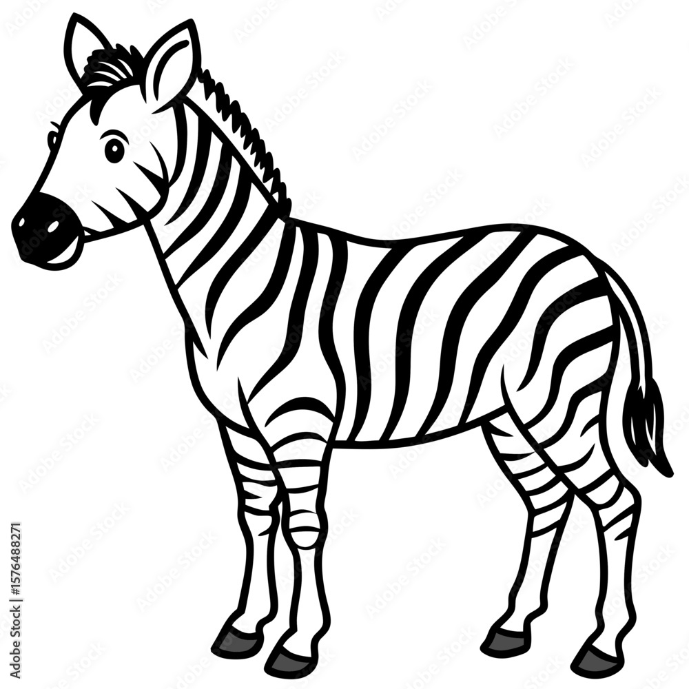 Obraz premium zebra vector illustration