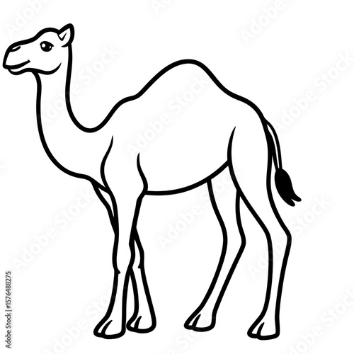 camel vector illustration