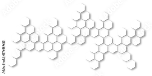Futuristic 3D black and white hexagonal pattern wallpaper with a floral geometric design