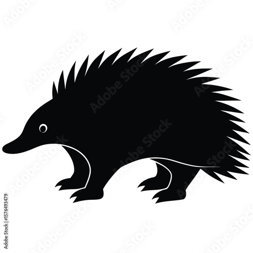 Black echidna silhouette walking animal mammal