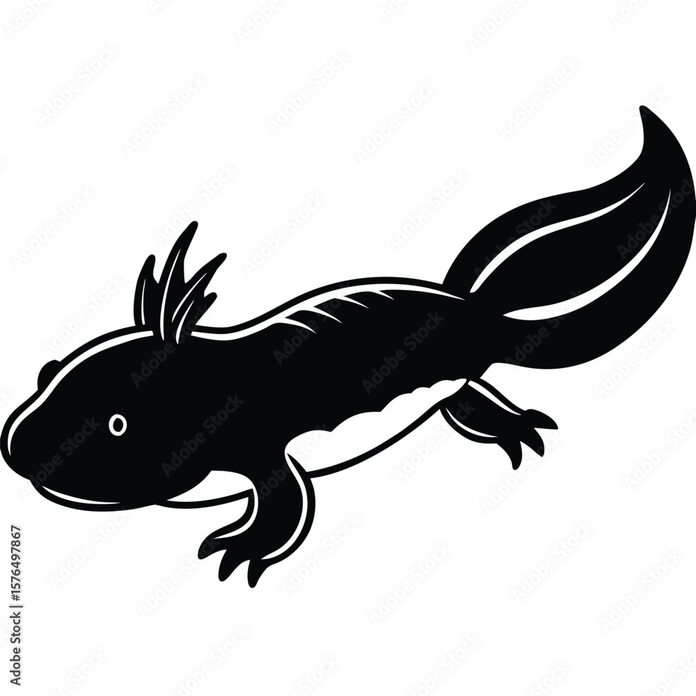 Fototapeta premium Bold black axolotl silhouette with external gills white animal