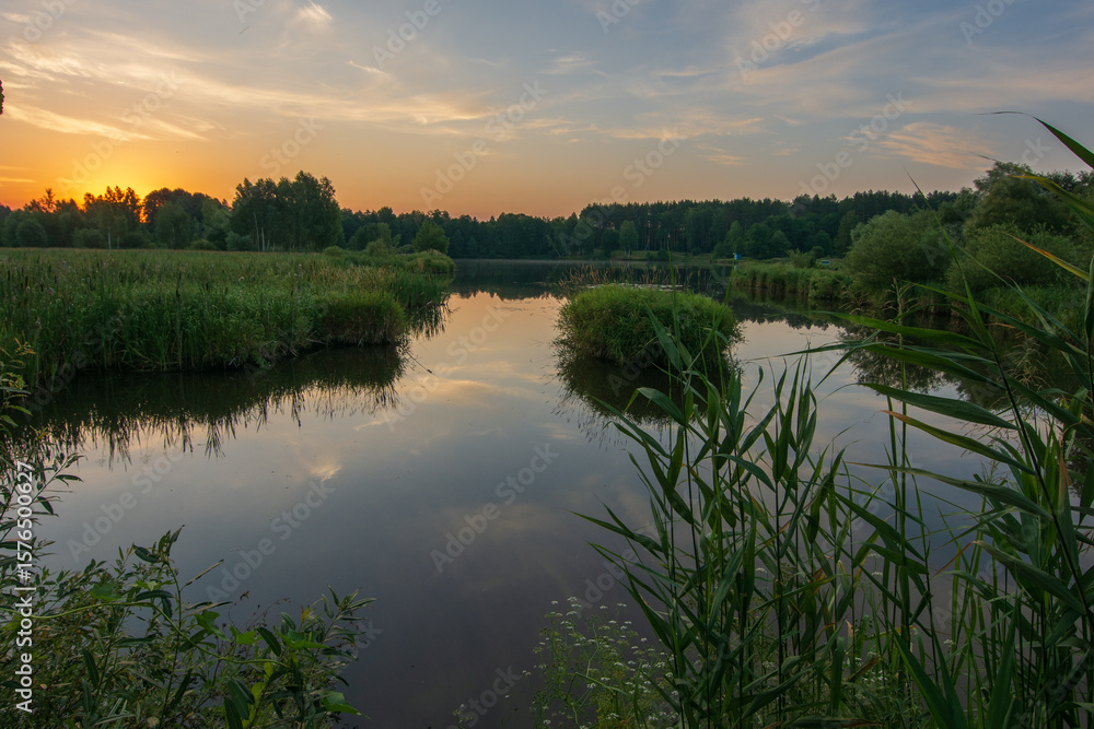 Obraz premium summer awesome sunrise over the swamp