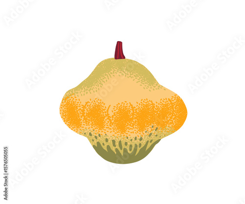 Colorful hand-drawn gourd with a bumpy surface, perfect for autumn or Thanksgiving designs. Isolated on white background.