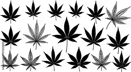 set of marijuana leaf silhouette, black and white silhouette, vector and illustration
