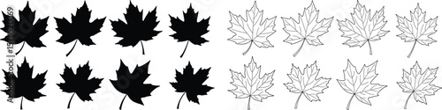 Autumnal silhouettes of canadian maple leaves in black and white, evoking nature's beauty and the changing seasons, ideal for design and creative projects using botany elements.