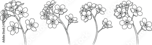 Four delicate sprigs of forget-me-nots are outlined in black and white, creating an elegant botanical illustration suitable for springtime themes and floral designs in various creative projects.