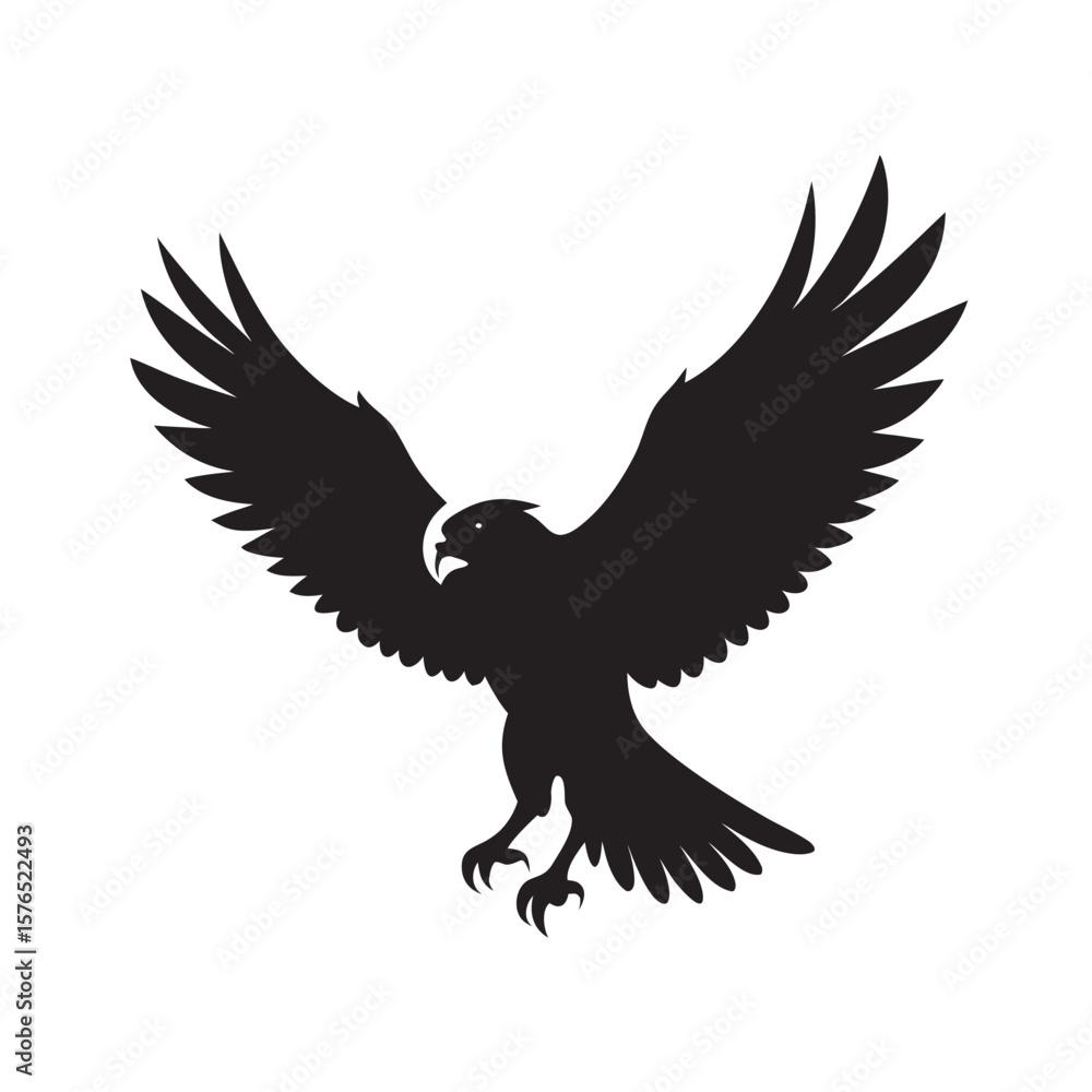 Obraz premium Hawk Touching Down With Wings Spread