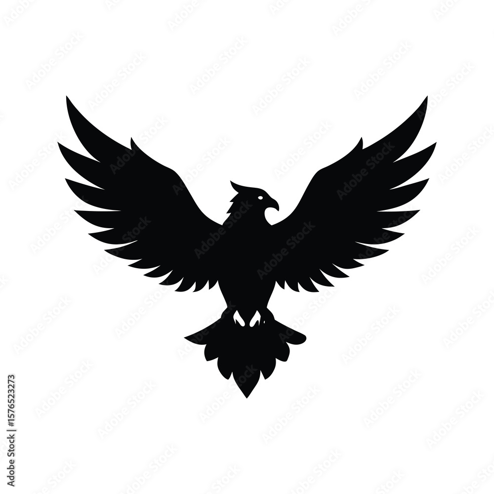 Fototapeta premium eagle with wings