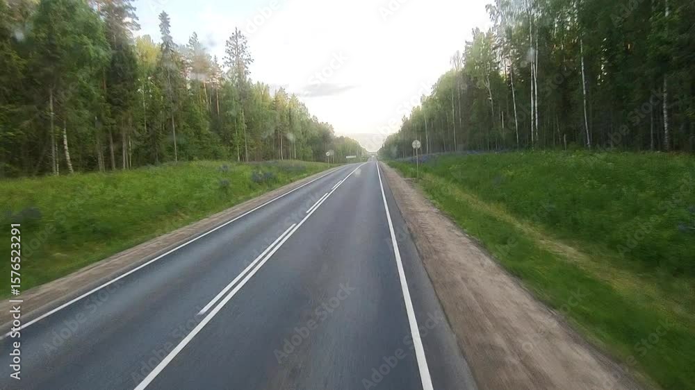 custom made wallpaper toronto digitalRecording the movement on the phone. The passenger's view of the smooth, beautiful road through the forest